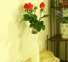簡(jiǎn)單優(yōu)雅·藝界之選 義烏歐式簡(jiǎn)約陶瓷花瓶大批發(fā)，限時(shí)特價(jià)刷新你的整體家居空間